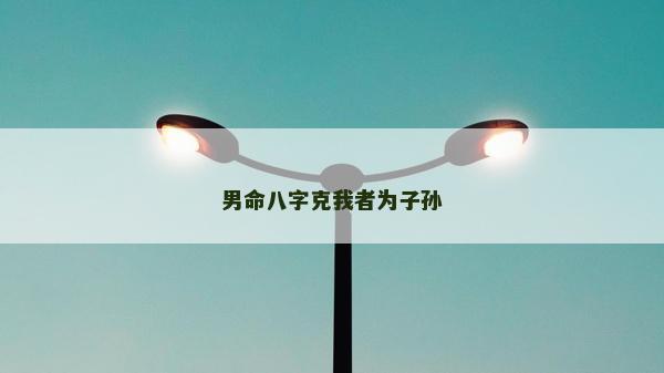男命八字克我者為子孫