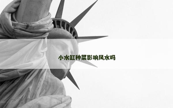 小水缸種菜影響風水嗎