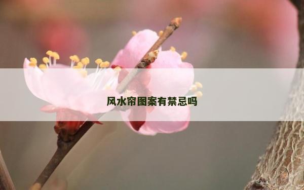 風水簾圖案有禁忌嗎