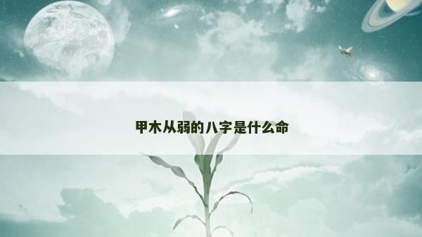 甲木從弱的八字是什么命