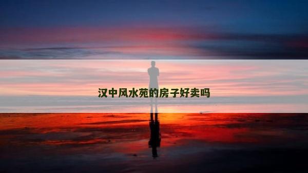 漢中風水苑的房子好賣嗎