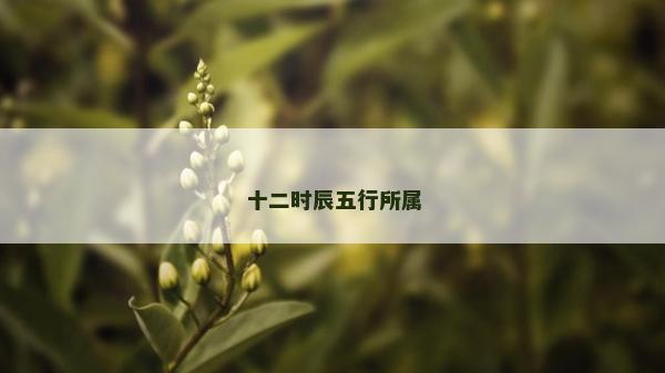 十二時辰五行所屬