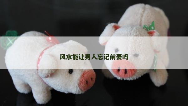 風(fēng)水能讓男人忘記前妻嗎