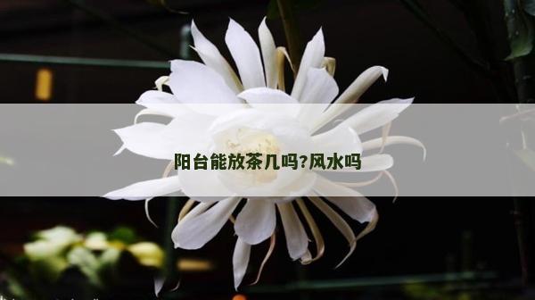 陽臺能放茶幾嗎?風水嗎