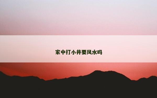 家中打小井要風水嗎 家中打小井要風水嗎