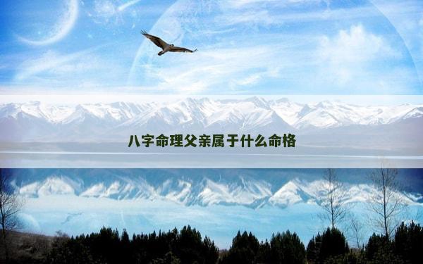 八字命理父親屬于什么命格