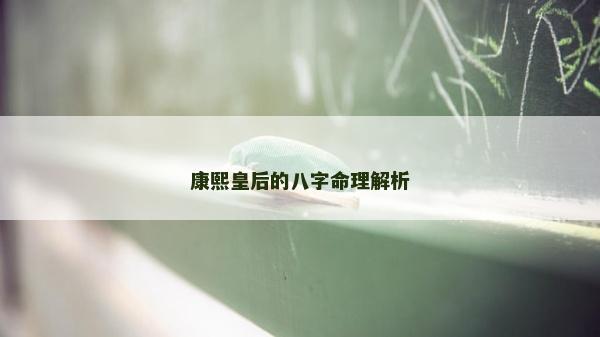 康熙皇后的八字命理解析