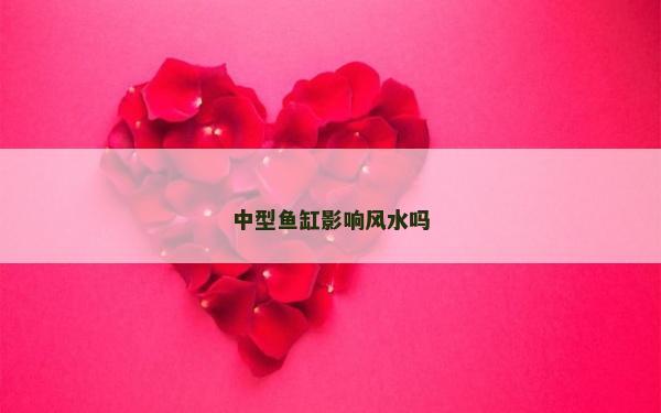 中型魚缸影響風水嗎