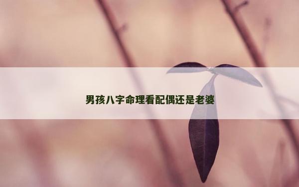 男孩八字命理看配偶還是老婆