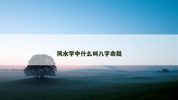風水學中什么叫八字命局