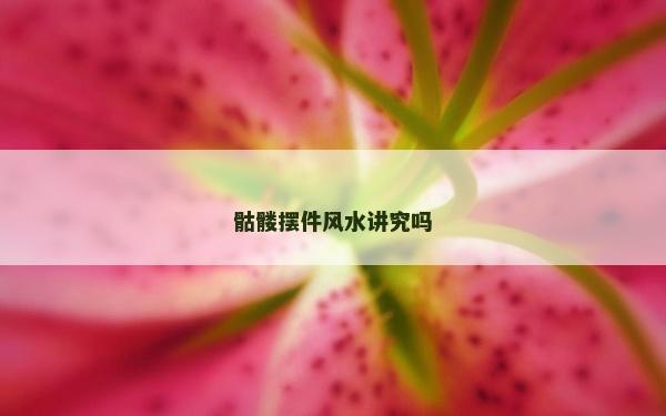 骷髏擺件風水講究嗎