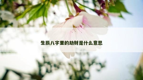 生辰八字里的劫財(cái)是什么意思