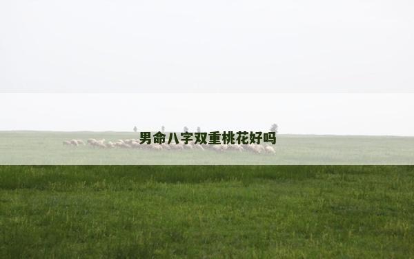 男命八字雙重桃花好嗎