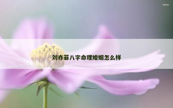 劉亦菲八字命理婚姻怎么樣 劉亦菲八字命理婚姻怎么樣