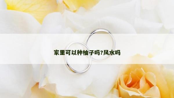 家里可以種柚子嗎?風(fēng)水嗎