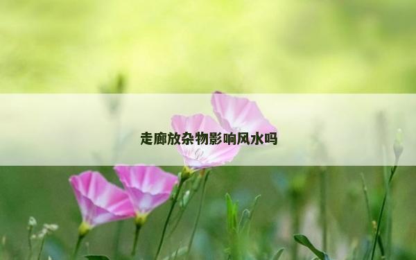 走廊放雜物影響風水嗎