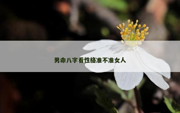 男命八字看性格準不準女人