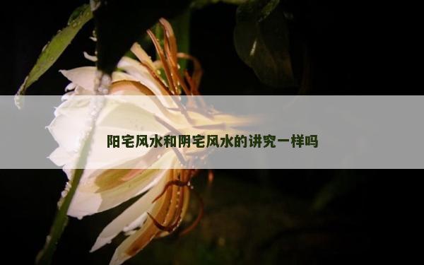 陽宅風水和陰宅風水的講究一樣嗎