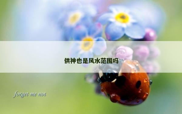 供神也是風水范圍嗎