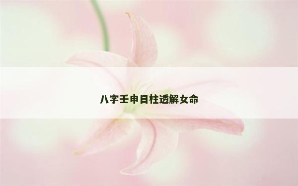八字壬申日柱透解女命