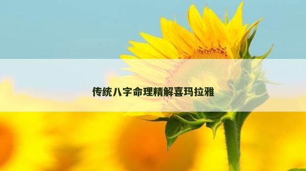 傳統八字命理精解喜瑪拉雅