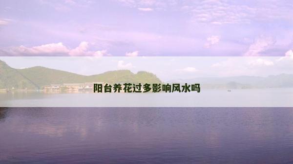 陽臺養花過多影響風水嗎