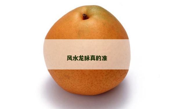 風水龍脈真的準