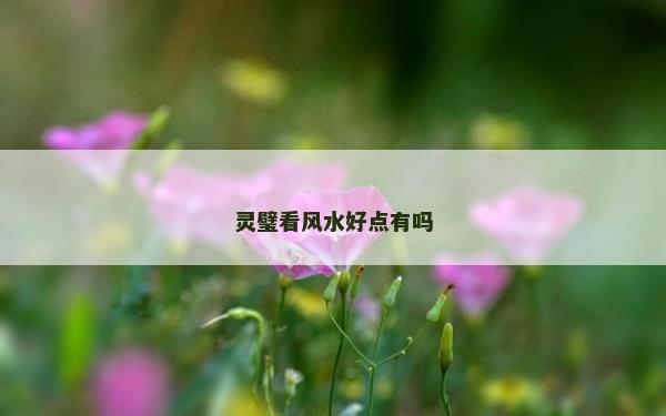 靈璧看風(fēng)水好點(diǎn)有嗎