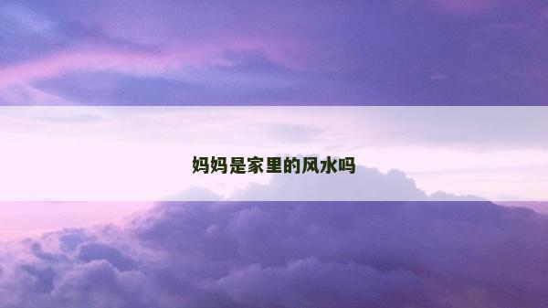媽媽是家里的風(fēng)水嗎