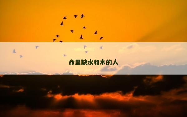 命里缺水和木的人