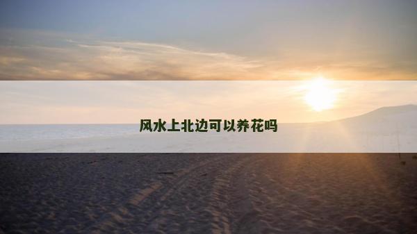 風水上北邊可以養花嗎
