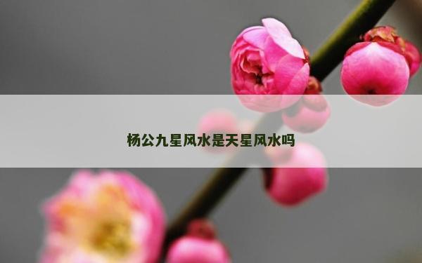 楊公九星風(fēng)水是天星風(fēng)水嗎