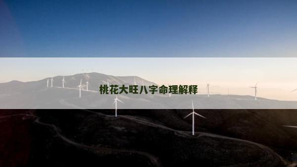 桃花大旺八字命理解釋