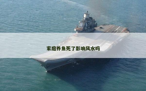 家庭養(yǎng)魚死了影響風水嗎