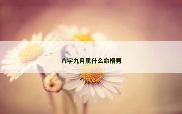 八字九月屬什么命格男