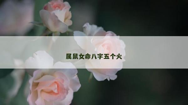 屬鼠女命八字五個(gè)火