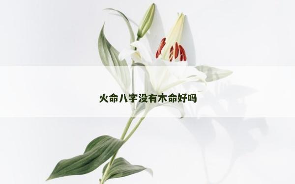 火命八字沒有木命好嗎