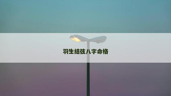 羽生結弦八字命格