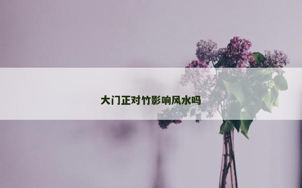 大門正對竹影響風水嗎