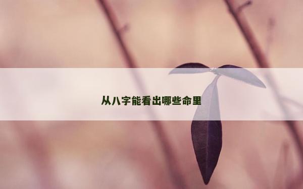 從八字能看出哪些命里