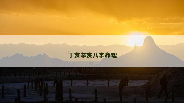 丁亥辛亥八字命理