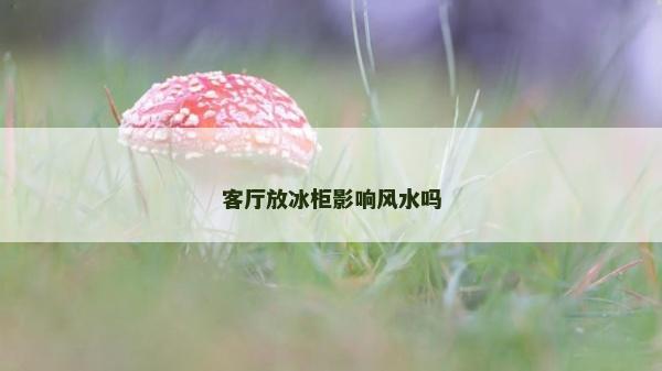 客廳放冰柜影響風水嗎
