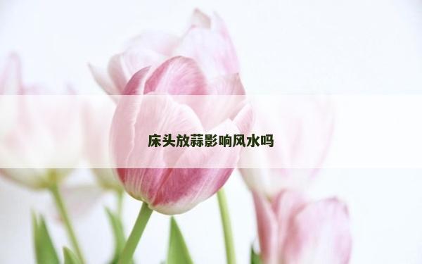 床頭放蒜影響風水嗎