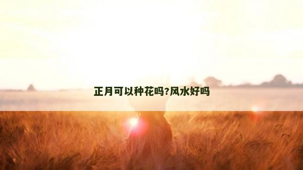正月可以種花嗎?風水好嗎
