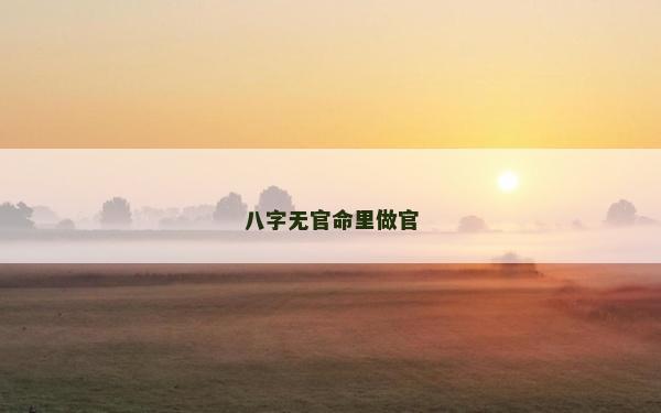 八字無官命里做官