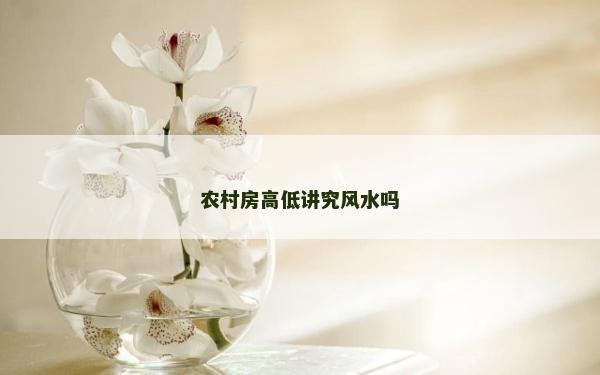 農村房高低講究風水嗎 農村房高低講究風水嗎