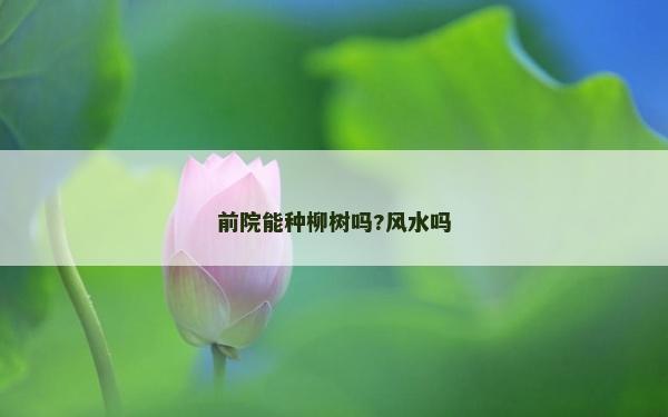 前院能種柳樹嗎?風水嗎