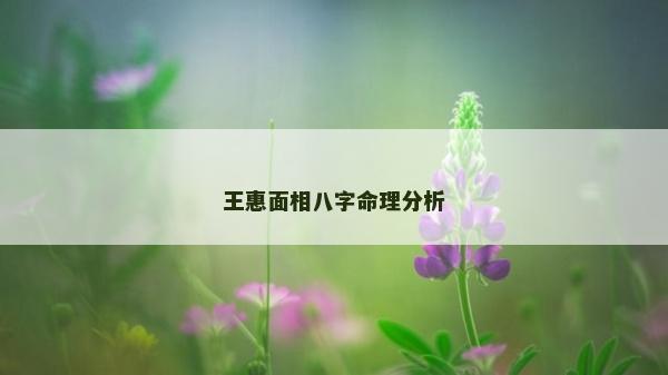 王惠面相八字命理分析
