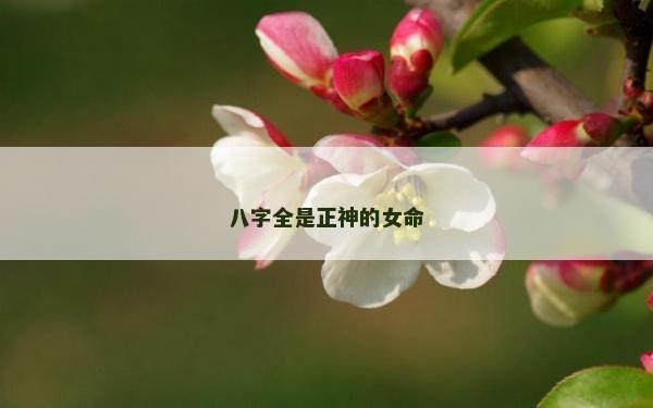 八字全是正神的女命 八字全是正神的女命
