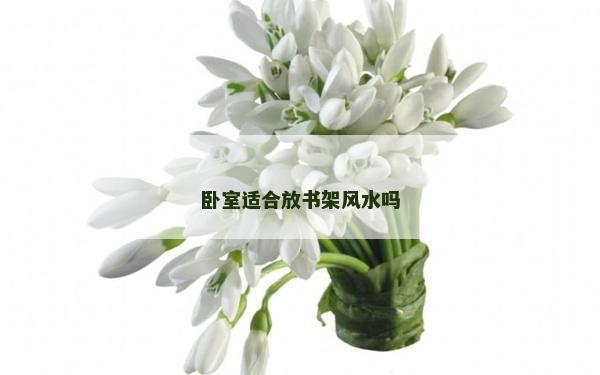 臥室適合放書架風水嗎